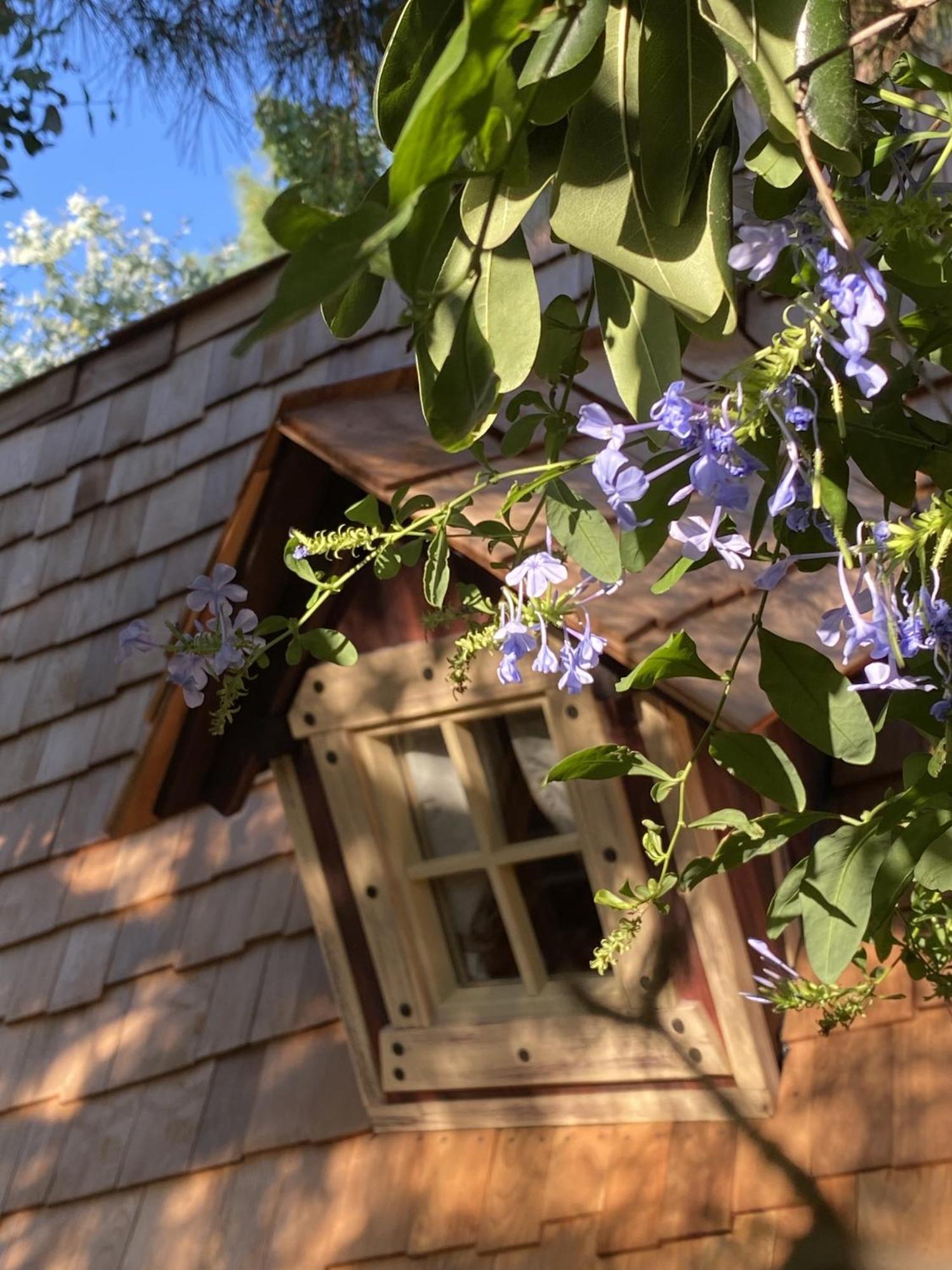 Mas Del Flor Bed & Breakfast Villelongue-dels-Monts Bilik gambar