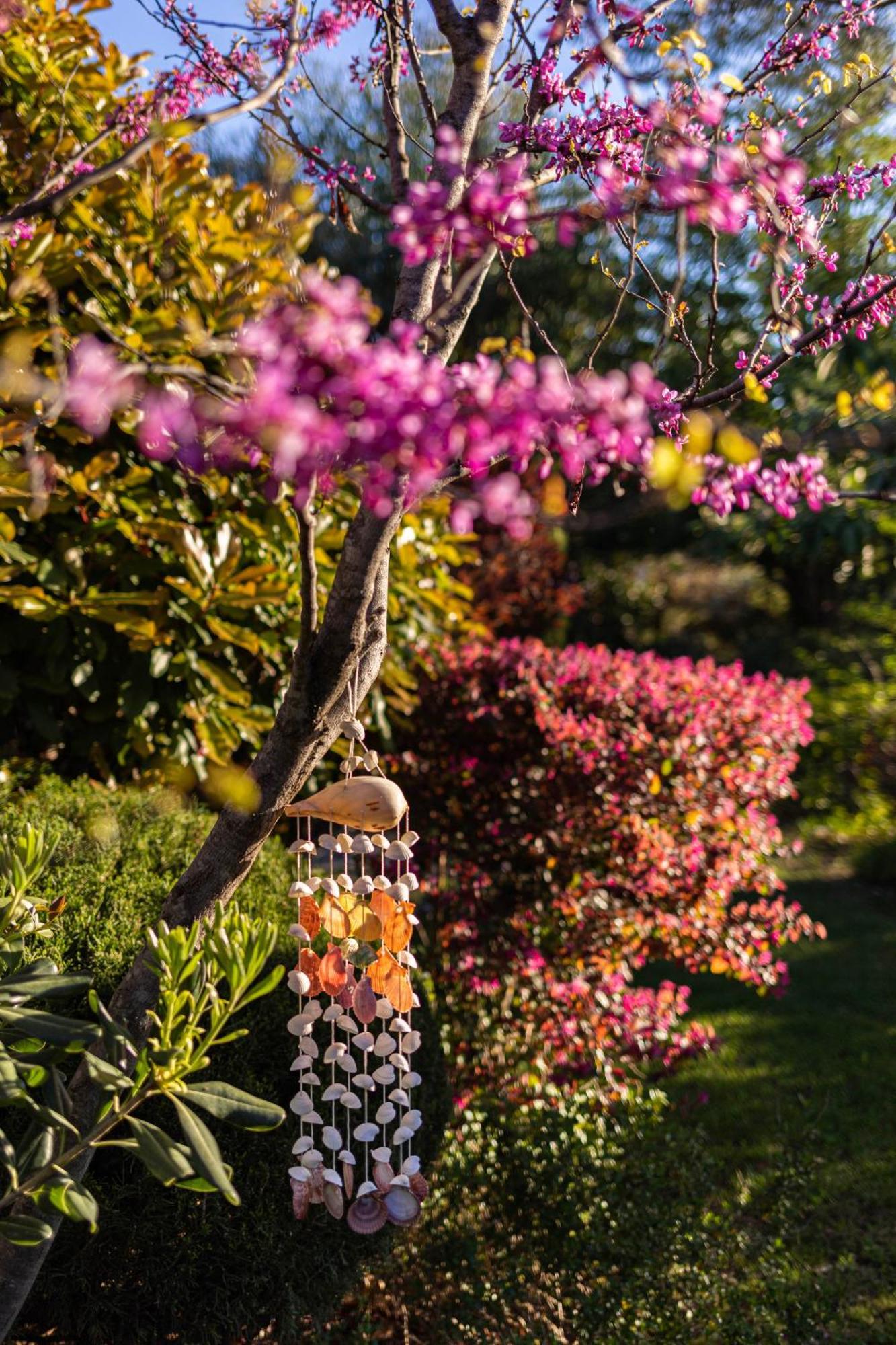 Mas Del Flor Bed & Breakfast Villelongue-dels-Monts Luaran gambar