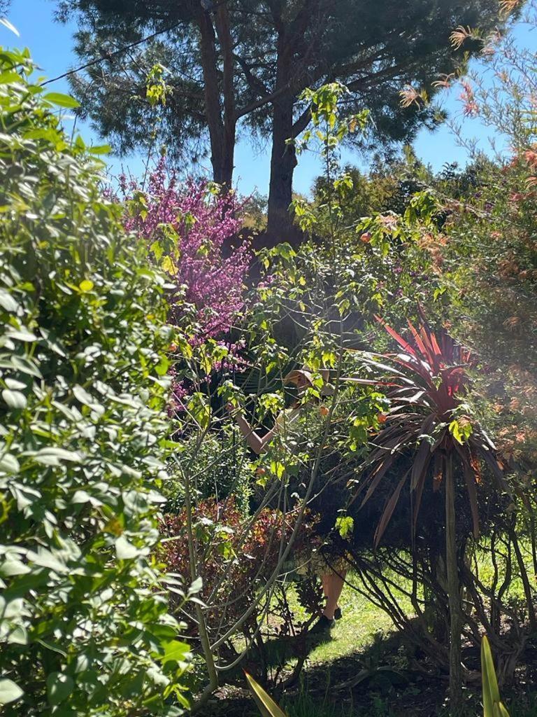 Mas Del Flor Bed & Breakfast Villelongue-dels-Monts Luaran gambar